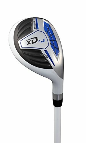 XD-J golf club head with blue and black design