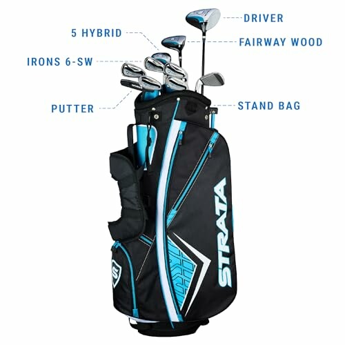 Golf club set with stand bag including driver, fairway wood, hybrid, irons, and putter.