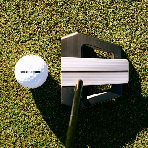 A golf putter next to a golf ball on the grass.